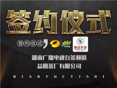 湘益茯，美茗揚 丨湘益茯茶與茶頻道達(dá)成長期戰(zhàn)略合作