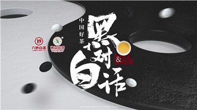 首屆黑白對(duì)話高峰論壇圓滿落幕！湘益茯茶備受關(guān)注！